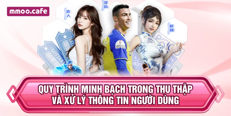 Quy trình minh bạch trong thu thập và xử lý thông tin người dùng